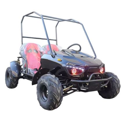 Lassen Sie die Leistung des 1200W Bürstenlosen Differenzialmotors frei Dune Buggy Go Kart Buggy 2 Sitzplätze