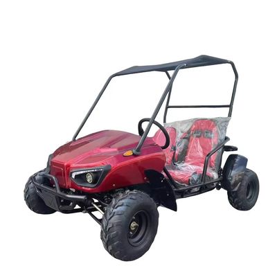 Lassen Sie die Leistung des 1200W Bürstenlosen Differenzialmotors frei Dune Buggy Go Kart Buggy 2 Sitzplätze