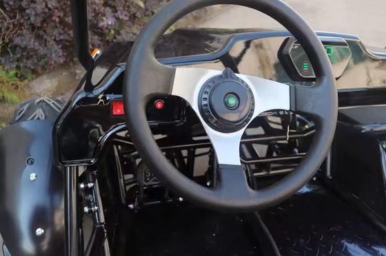 Lassen Sie die Leistung des 1200W Bürstenlosen Differenzialmotors frei Dune Buggy Go Kart Buggy 2 Sitzplätze