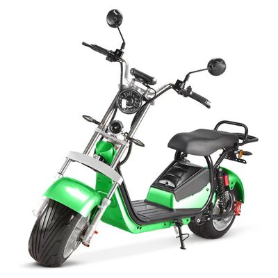 Erleben Sie die Freiheit unserer 1500W E-Motorräder für Erwachsene