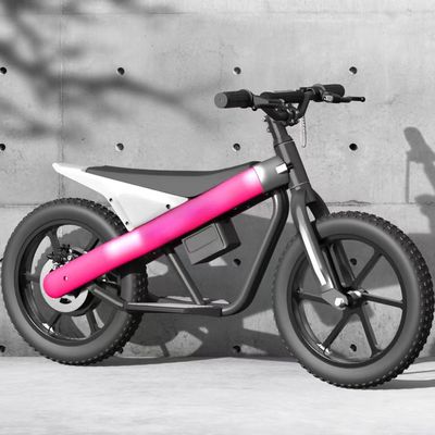 300W 24V Batterie Kinder Mini-Elektrobike mit Pneumatischem Reifen und 3 Schnellgetrieben