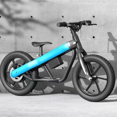 300W 24V Batterie Kinder Mini-Elektrobike mit Pneumatischem Reifen und 3 Schnellgetrieben