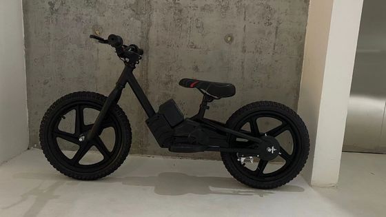 Kinder Elektroroller Balance Bike mit bürstenlosem Motor und 24V5.2AH Batteriekapazität