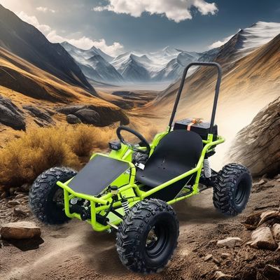 Elektrische Kids Go Kart mit 2024 1000W 1200W Bürstenlosem Motor und Big Power 3 Speed Buggy
