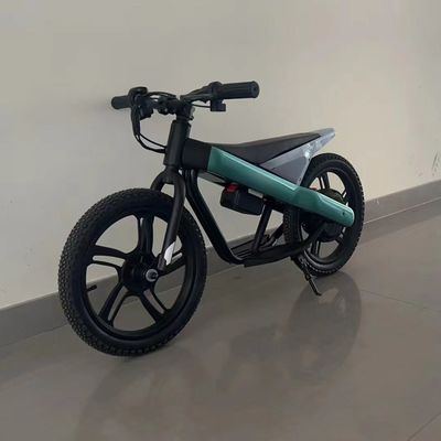 16-Zoll-Kinder-Elektro-Balance-Fahrrad mit Stahlrahmen und Titan-Riegelmaterial