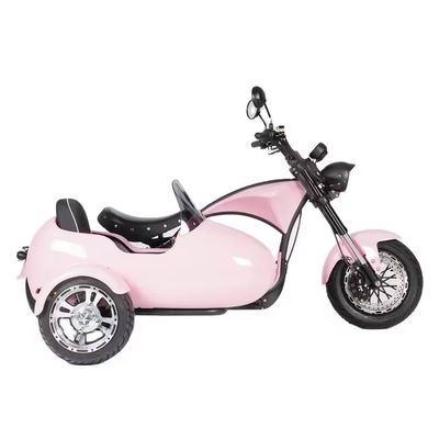 2000 Watt Dreirad Fettreifen Elektro-Ladenträger Fahrrad perfekt für Ihre B2B Bedürfnisse