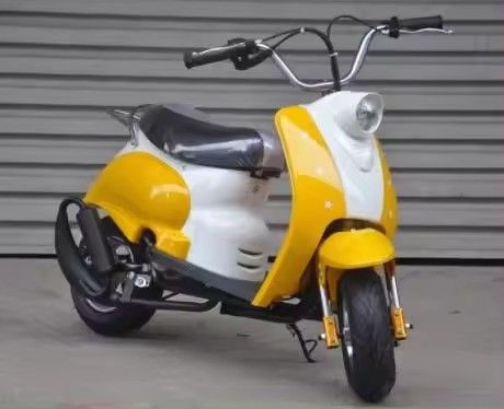 Erschwingliches 49CC Taschen-Dirt Bike mit anpassbaren Farboptionen
