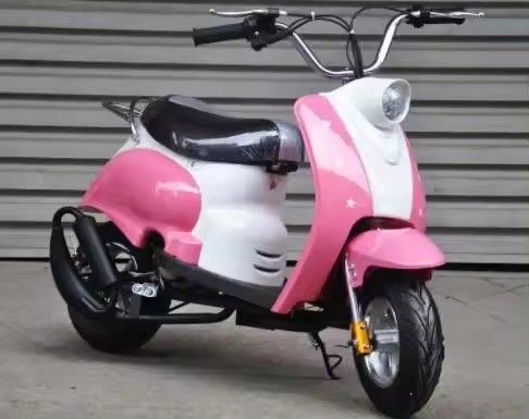 Erschwingliches 49CC Taschen-Dirt Bike mit anpassbaren Farboptionen