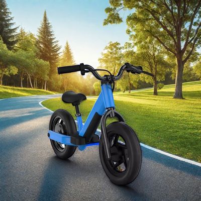 Off-Road-Abenteuer mit einem 200-Watt-Elektro-Dirtbike und einer 24-Volt-Batterie