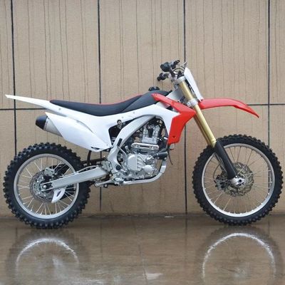 EPA genehmigt 450cc Pit Bikes große Leistung perfekt für On-Off Motorrad-Enthusiasten
