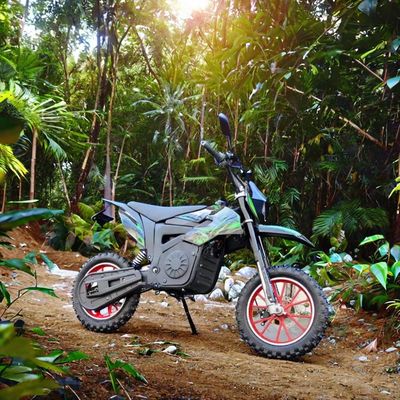 48-Volt-Elektro-Motorrad-Kreuz für Kinder Max. Geschwindigkeit 40-60km/h Lithiumbatterie