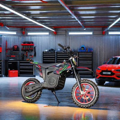 48V 60V 1200W1600W 2000W Elektro-Dirtbike mit VOR- und HINTERMECHANISCHER DISKBREMSE