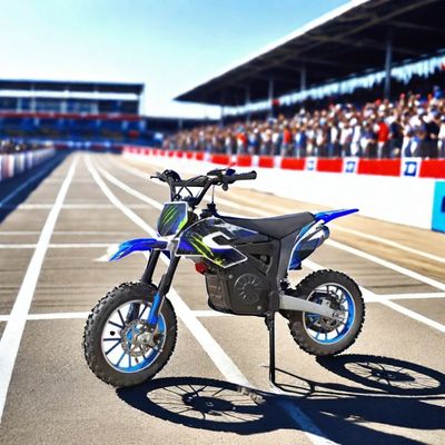 1200W Elektro-Dirtbike mit Aufklebern und Max. Geschwindigkeit 40 60km/h Off-Road Motorräder