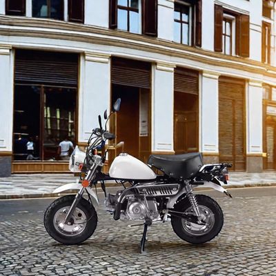 Off-Road Adventure 110cc Monkey Bike mit CE-Zertifikat und kundenspezifischen Farben
