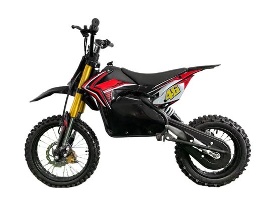 1200 Watt Mini-Elektrobike für Offroad-Abenteuer für Kinder