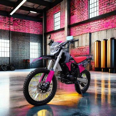 Bringen Sie Ihr Geländefahren auf die nächste Stufe mit unserem 250cc Moto Racing Dirt Bike