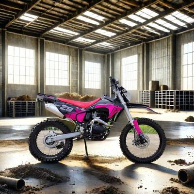 Elektrischer Start 250cc Enduro Dirt Bike Max. Geschwindigkeit 100km/h Ideal für Offroad-Abenteuer