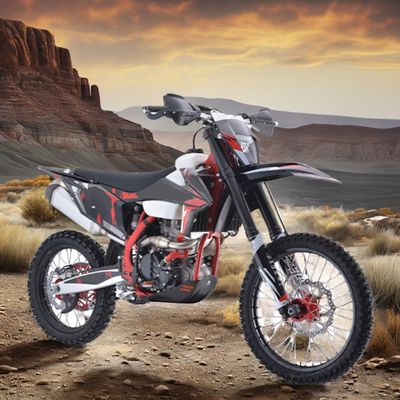 Aotong Motor Pit Bike Dirt Bike Pocket Bike Moto Cross Versorgungsmotor 300cc Bremsen DISC