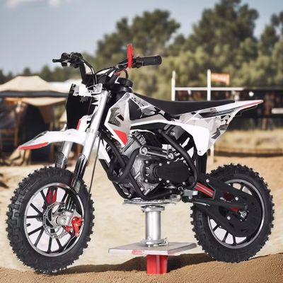 Off-Road Kinder Taschenmotorrad Mini Dirt Bike mit 60cc Motor und kundenspezifischen Farben