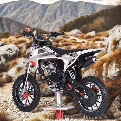 Customzied unterstützte Farben 60CC Motor 4-Takt Kinder Dirt Bike mit DISC Bremse
