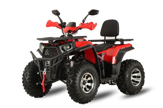 Aotong GY6 Motor 200CC/250CC Automatisches Quad Bike für Erwachsene 10INCH/12INCH Farm ATV