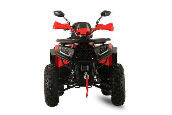 Aotong GY6 Motor 200CC/250CC Automatisches Quad Bike für Erwachsene 10INCH/12INCH Farm ATV