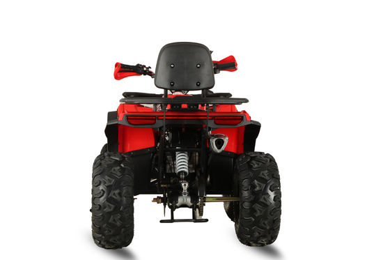 Aotong GY6 Motor 200CC/250CC Automatisches Quad Bike für Erwachsene 10INCH/12INCH Farm ATV