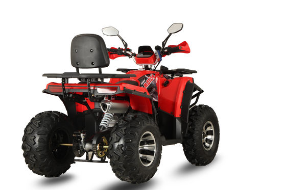 Aotong GY6 Motor 200CC/250CC Automatisches Quad Bike für Erwachsene 10INCH/12INCH Farm ATV