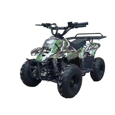70CC/110CC Automatisches ATV 4 Schlag Teen Racing Quad 125CC All-Terrain Beach Buggy