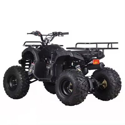 125cc 110cc Kids Atv Quad Mini Quad Motorrad für Kinder Umkehr-Budget-freundlich