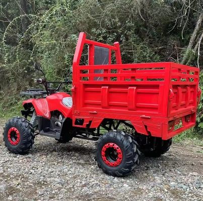 Bauernhof ATV Aotong 125cc/150cc mit Anhänger und Frachtbox 2WD 4WD Off Road ATV Spannung 12V