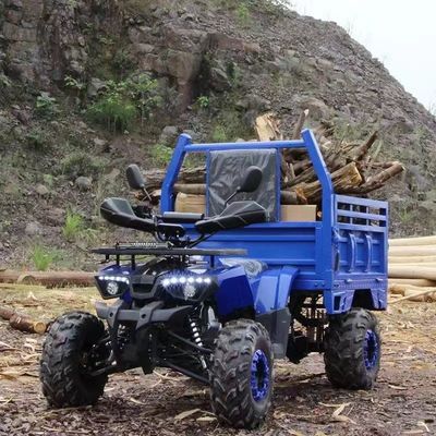 Bauernhof ATV Aotong 125cc/150cc mit Anhänger und Frachtbox 2WD 4WD Off Road ATV Spannung 12V