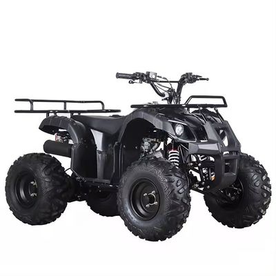 110cc 125cc ATV mit automatischem Kettenantrieb Aotong's Compact Design chinesisches Produkt