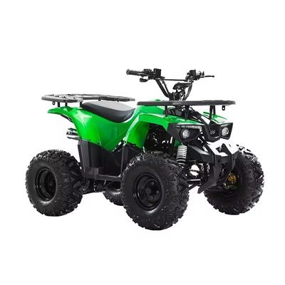 110cc 125cc Kettenantrieb ATV mit CE-Zertifikat Höchstgeschwindigkeit 50-75Km/h und Materialien
