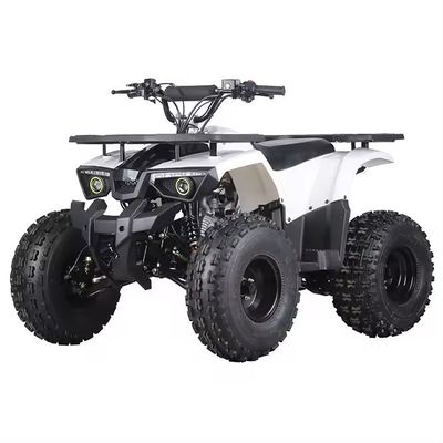 110cc 125cc Kettenantrieb ATV mit CE-Zertifikat Höchstgeschwindigkeit 50-75Km/h und Materialien