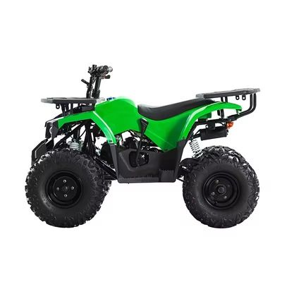 110cc 125cc Kettenantrieb ATV mit CE-Zertifikat Höchstgeschwindigkeit 50-75Km/h und Materialien