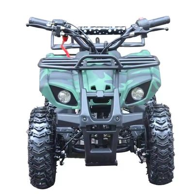 Kinder Ce Zertifizierung Mini Vierrad 49cc Quad Atv mit nicht ausgestattetem Differenzialverschluss