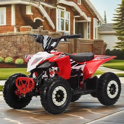 36V Kids Quad Electric 1000w Atv 125cc 6 Zoll Automatisches Quad Motorrad für Kinder 2WD