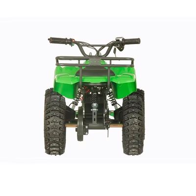 Straßenrechtliche 1200W ATV Vierräder Quad Bike mit 2WD und 30-50km Fahrleistung
