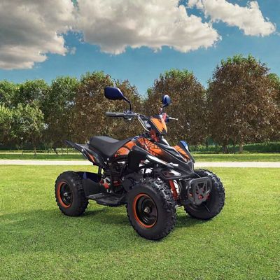 Kinder 50cc 4 Wheeler Quad Atv mit CE-Zertifizierung und Mini Vierradmotorrad 49cc