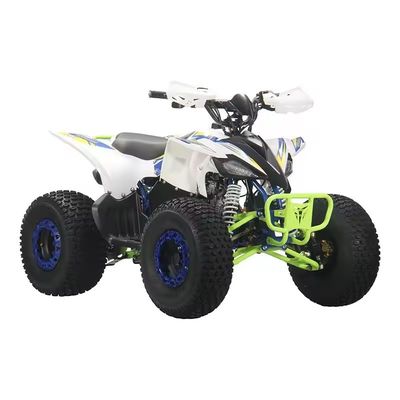 110cc 125cc Quad ATVs für Erwachsene Design und nicht ausgestattete Differenzialverriegelung