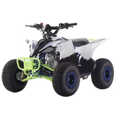 110cc 125cc Quad ATVs für Erwachsene Design und nicht ausgestattete Differenzialverriegelung