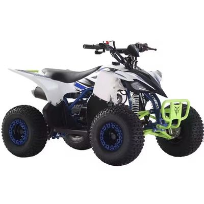 110cc 125cc Quad ATVs für Erwachsene Design und nicht ausgestattete Differenzialverriegelung