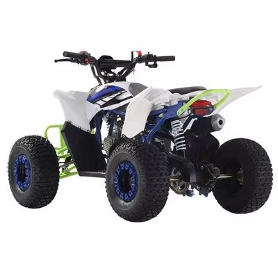Cuatrimoto ATV Automatic 125cc Quad Bike Gas / Diesel mit benutzerdefinierten unterstützten Farben