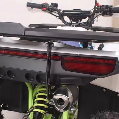 8 Zoll Reifen Benzin 125cc ATV kundenspezifische Farben und Frontscheibe Hinterscheibe Bremssystem