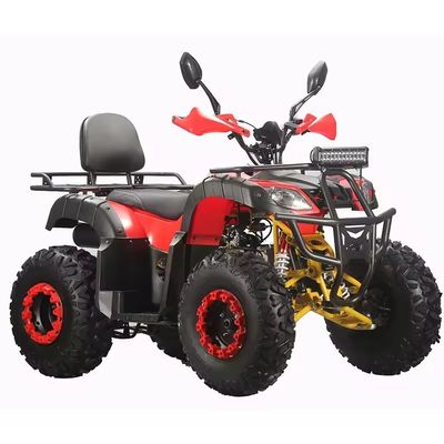 Kettengetriebe 150cc 200cc 250cc 2x4 ATV Quad für Erwachsene mit CE und Effizienz