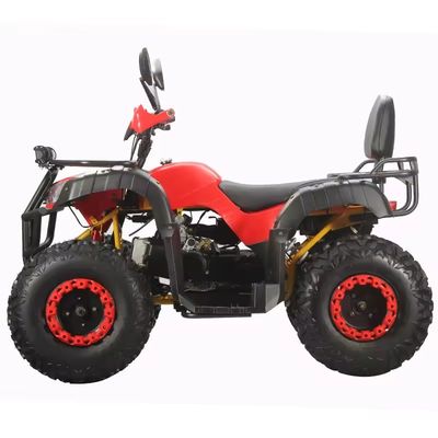 Kettengetriebe 150cc 200cc 250cc 2x4 ATV Quad für Erwachsene mit CE und Effizienz