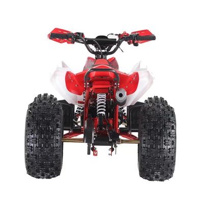 110CC/125CC 4-Takt-Scooter Gasquad ATV mit und ohne Differentialverschluss