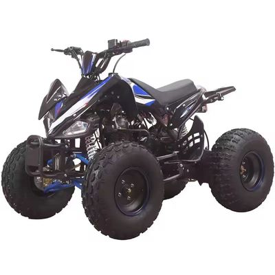 110CC/125CC 4-Takt-Scooter Gasquad ATV mit und ohne Differentialverschluss