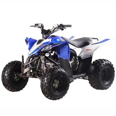 Gasbetriebenes Vierräder ATV 125cc mit Automatik CVT und Kraftstoffsystem